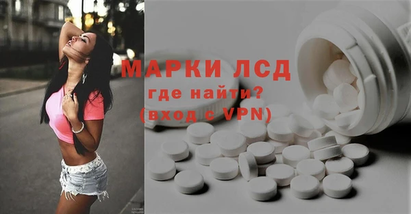 шишки Баксан