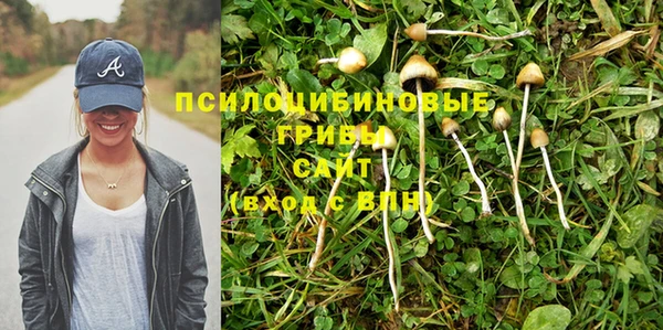 jwh Аркадак