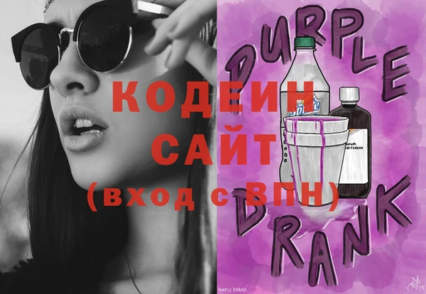хмурый Арсеньев