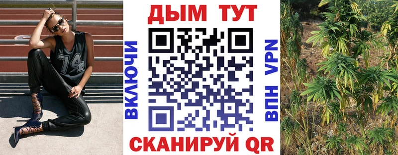 где купить наркоту  omg зеркало  МАРИХУАНА AK-47  Козьмодемьянск 